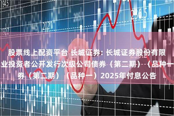 股票线上配资平台 长城证券: 长城证券股份有限公司2024年面向专业投资者公开发行次级公司债券(第二期)(品种一)2025年付息公告