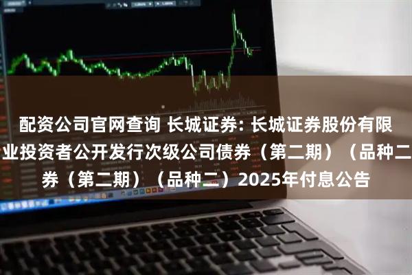 配资公司官网查询 长城证券: 长城证券股份有限公司2024年面向专业投资者公开发行次级公司债券（第二期）（品种二）2025年付息公告